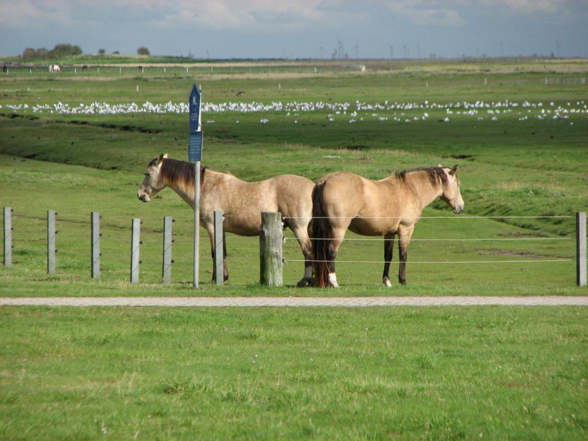 Seevilla Wietjes Whg 5 Baltrum Zewnętrze zdjęcie